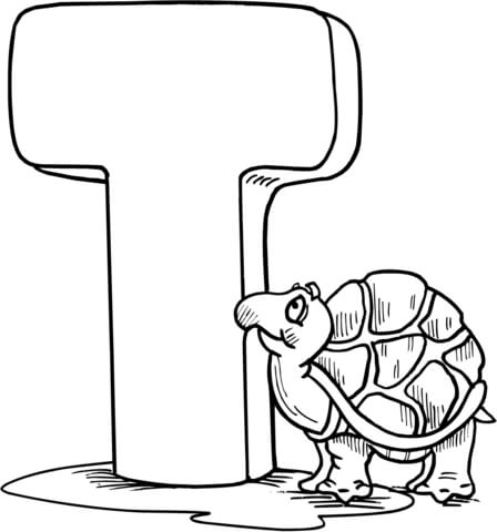 Letter T Is For Tortoise Coloring Page